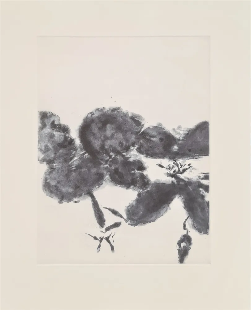 Ets En Aquatint Zao - XXIV Sonnets de Shakespeare