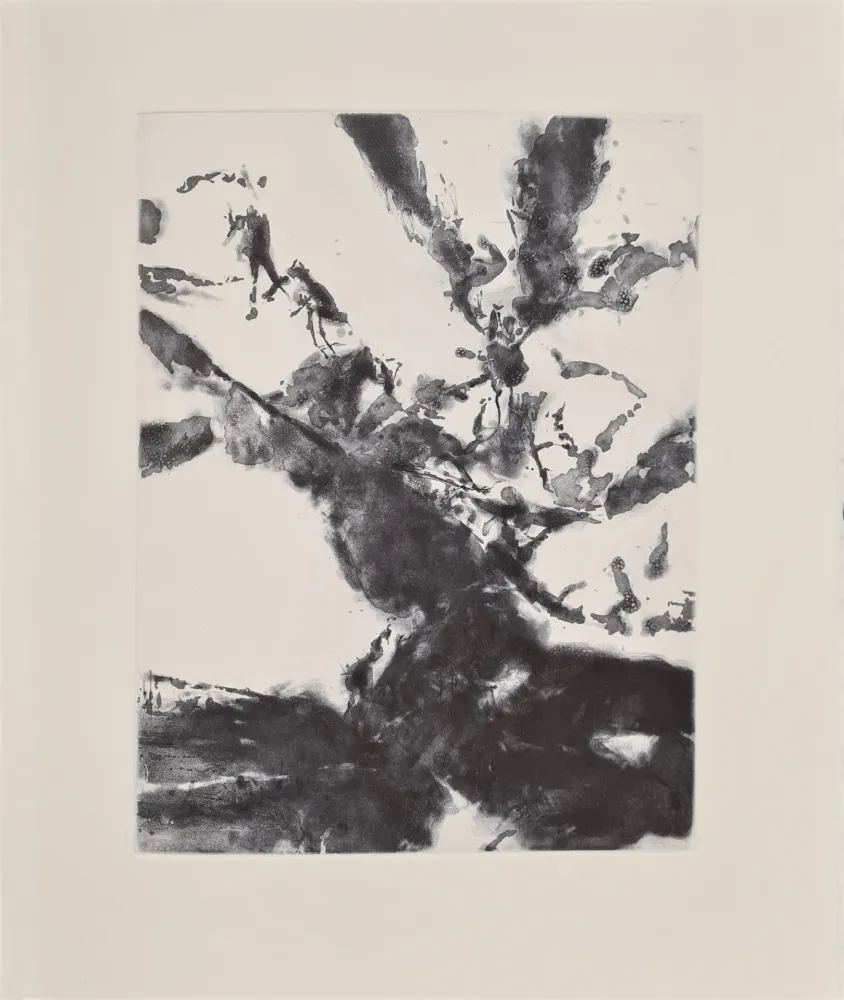Ets En Aquatint Zao - XXIV Sonnets de Shakespeare