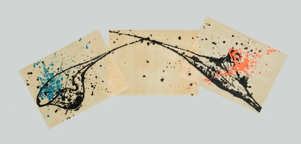 Lithografie Zorio - Senza titolo