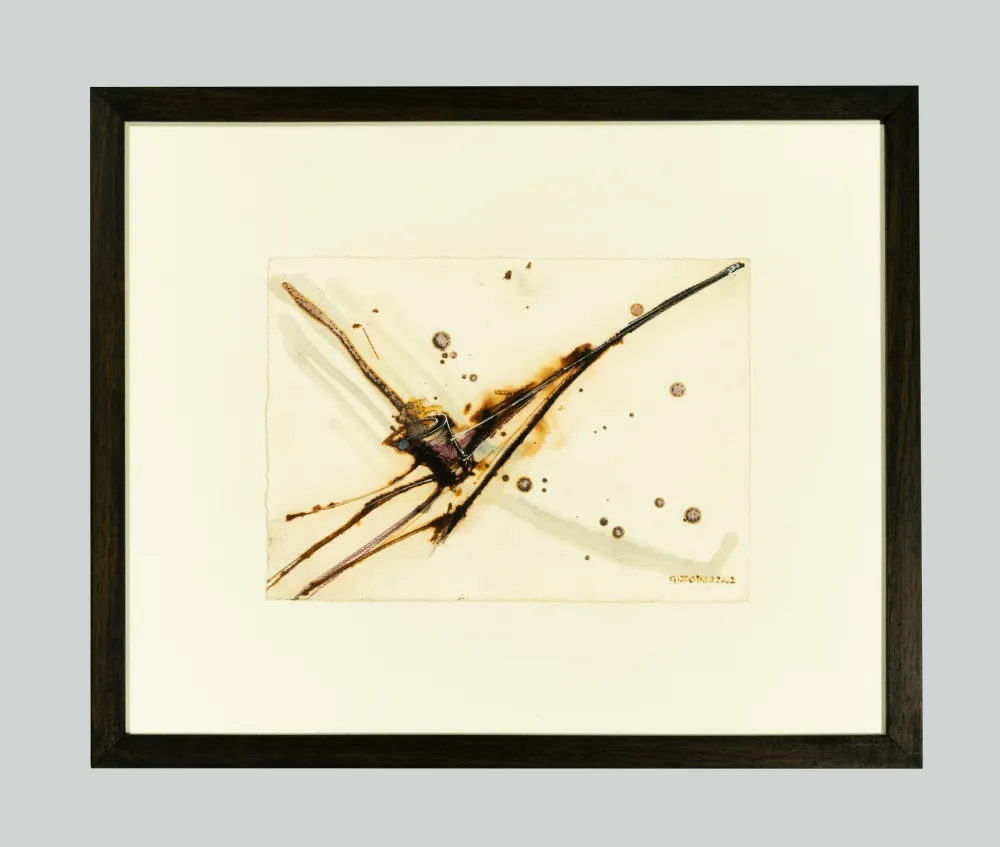 Geen Techniek Zorio - Senza titolo (Canoa)