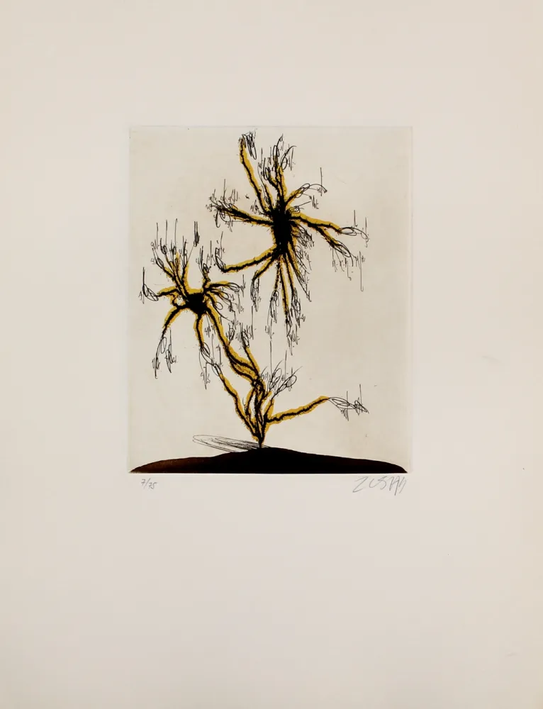 Ets En Aquatint Zush - Anzuras