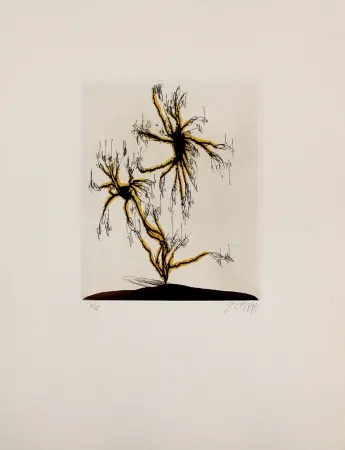 Ets En Aquatint Zush - Anzuras