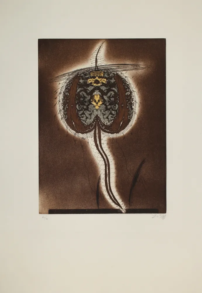 Ets En Aquatint Zush - Dobrein Sorud