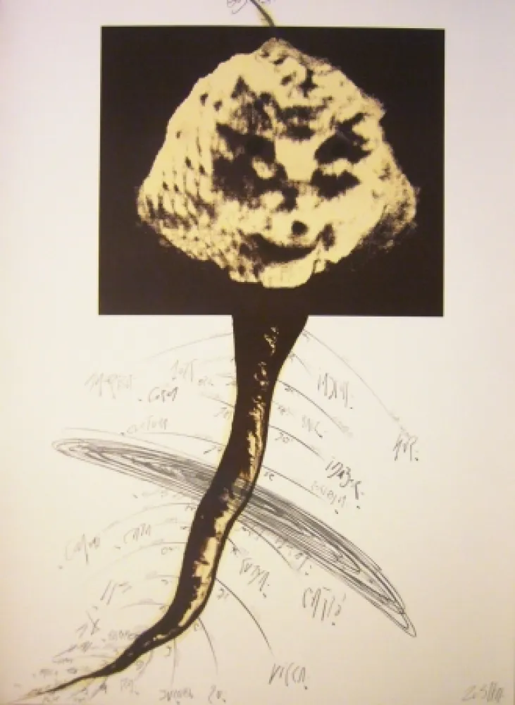 Lithografie Zush - Sans titre 2