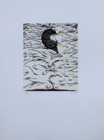 Ets En Aquatint Zush - Sascape