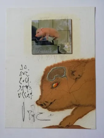 Geen Techniek Zush - Socjomo