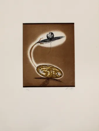 Ets En Aquatint Zush - Vloplanet