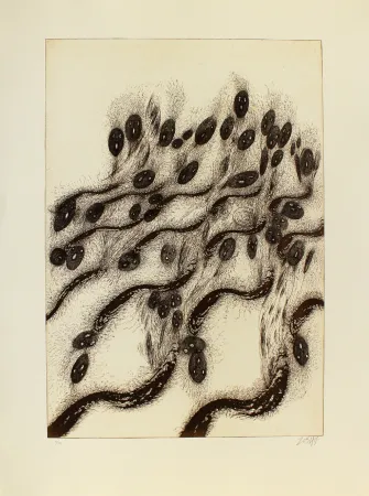 Ets En Aquatint Zush - Vovlusos